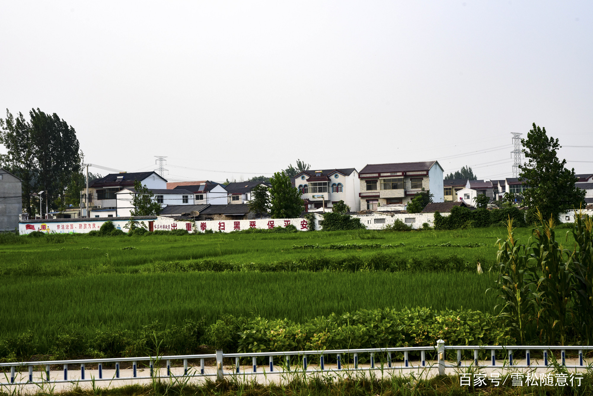 茅村镇 baijiahao.baidu.com